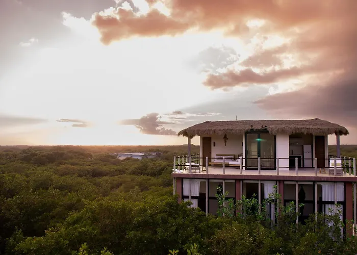 Caimán Hábitat Tulum