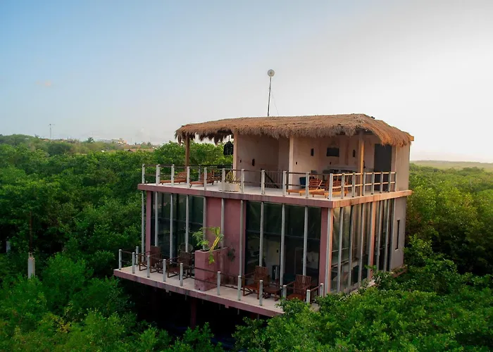 Caimán Hábitat Tulum