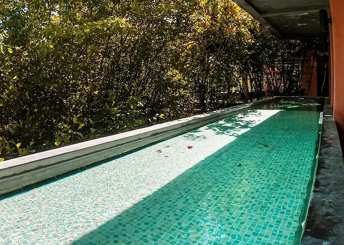 Hotel Caimán Hábitat 5*