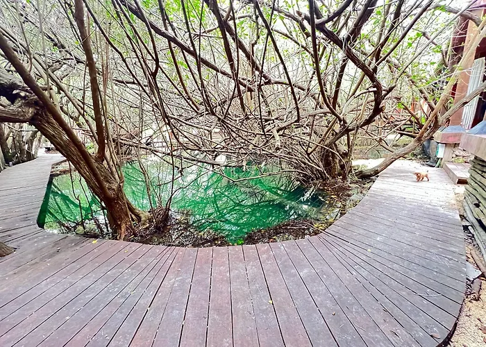 Caimán Hábitat 5* Tulum