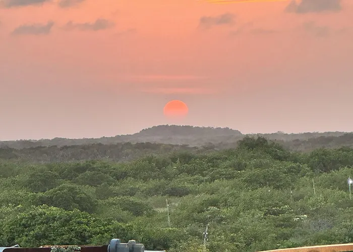 Caimán Hábitat Tulum