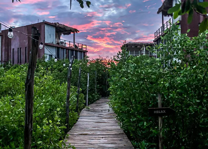 Hotel Caimán Hábitat 5*